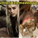 Heyecanla Beklenen House of the Dragon’dan Önce Mutlaka Göz Atılması Gereken 10 Game of Thrones Bölümü