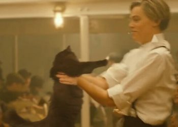 Titanik Filmine Yıllar Sonra Yapılan Montaj: Hem de Bir Kedi