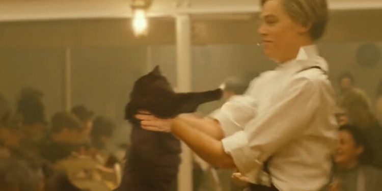 Titanik Filmine Yıllar Sonra Yapılan Montaj: Hem de Bir Kedi
