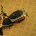 Netflix'in Engin Günaydın başrollü dizisi Andropoz'dan fragman geldi 13 Netflix’in Engin Günaydın başrollü dizisi Andropoz’dan fragman geldi