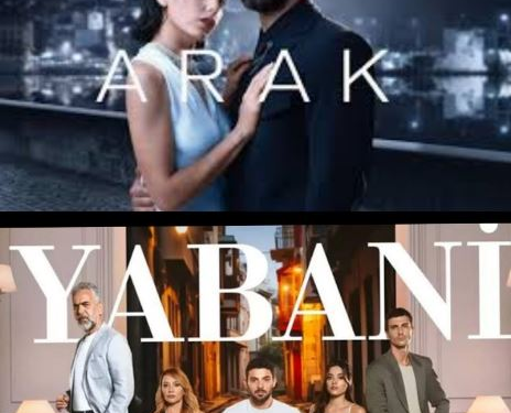 ÇUKUR DİZİSİNİN BAŞARISINDAN SONRA YABANİ VE KARA DİZİLERİ KONSEPTİ SÜRDÜRME ÇABASI TAŞIYOR!