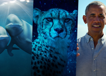 2025’te Netflix’te İzlenmesi Gereken 10 Doğa Belgeseli