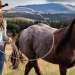 'Heartland' 18. Sezon Netflix'te Ne Zaman Yayınlanacak? Tam Güncel Yayın Programı 21 ‘Heartland’ 18. Sezon Netflix’te Ne Zaman Yayınlanacak? Tam Güncel Yayın Programı