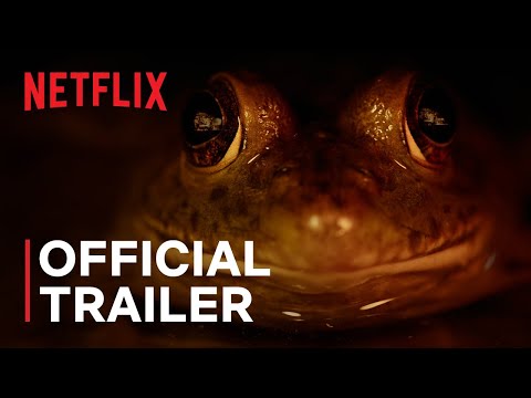 Doğanın Kabusları | Resmi Fragman | Netflix