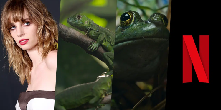 Maya Hawke, Netflix'in İki Sezonluk Blumhouse Belgesel Dizisi 'Nightmares of Nature'ı Anlatıyor 1 Maya Hawke, Netflix’in İki Sezonluk Blumhouse Belgesel Dizisi ‘Nightmares of Nature’ı Anlatıyor