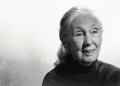 Dr. Jane Goodall, Netflix'te Ölümünün Ardından Verdiği 'Ünlü Son Sözleriyle' Son Röportajında Onurlandırıldı 4 Dr. Jane Goodall, Netflix’te Ölümünün Ardından Verdiği ‘Ünlü Son Sözleriyle’ Son Röportajında Onurlandırıldı